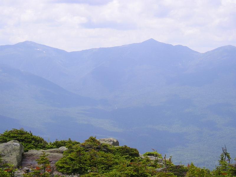 CarterDome (23).JPG - Jefferson and Adams.